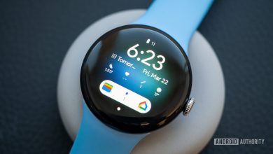 google pixel watch wear os watch face pixel fanboy 1