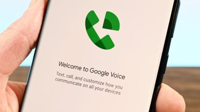 Google Voice splash